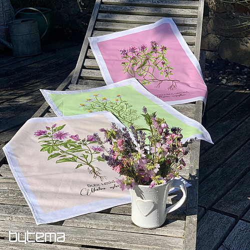 Serviettes en coton THYM