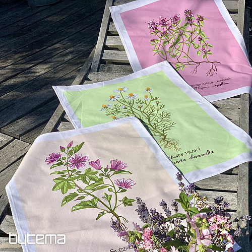 Serviettes en coton THYM