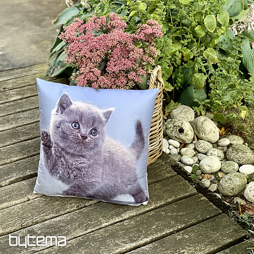 Housse décorative KITTY