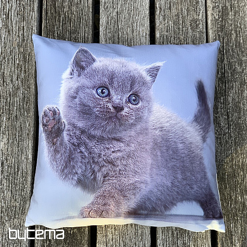 Housse décorative KITTY