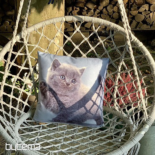 Housse décorative KITTY