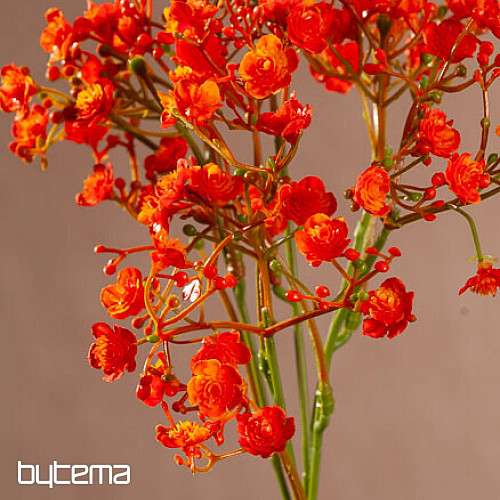 SPRAY DE GYPSE ORANGE