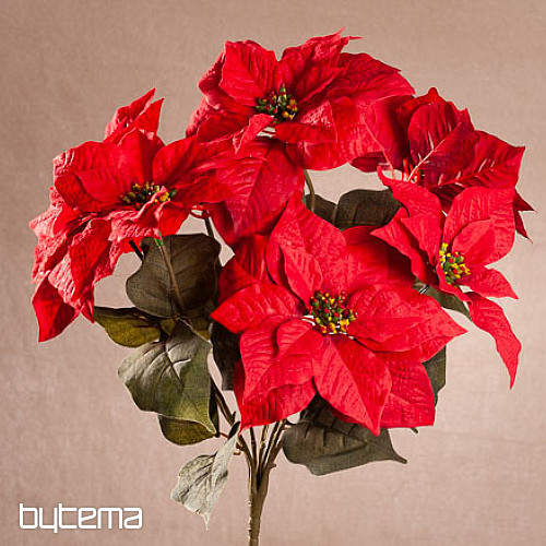 Rose de Noël TRS ROUGE