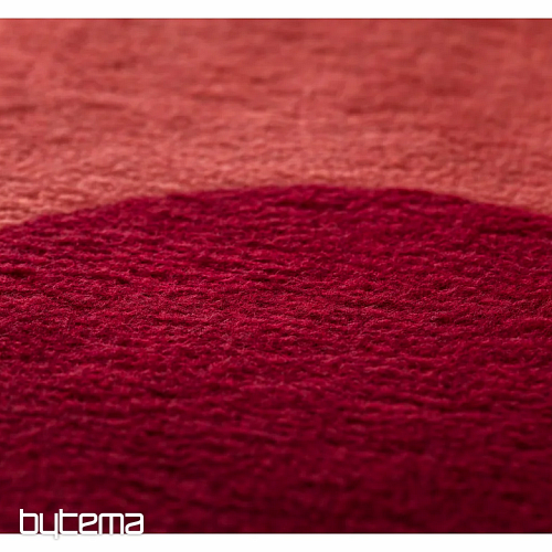 Couverture DF SAVONA COEUR ROUGE