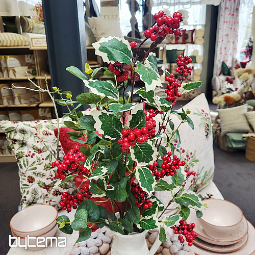 SPRAY À BAIES rouge