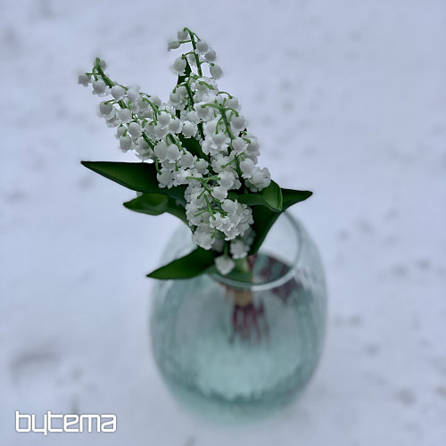 LYS DE LA LONGÉVITÉ