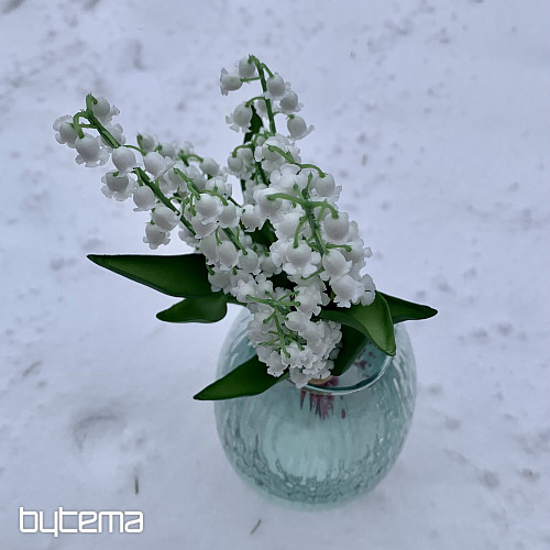 LYS DE LA LONGÉVITÉ