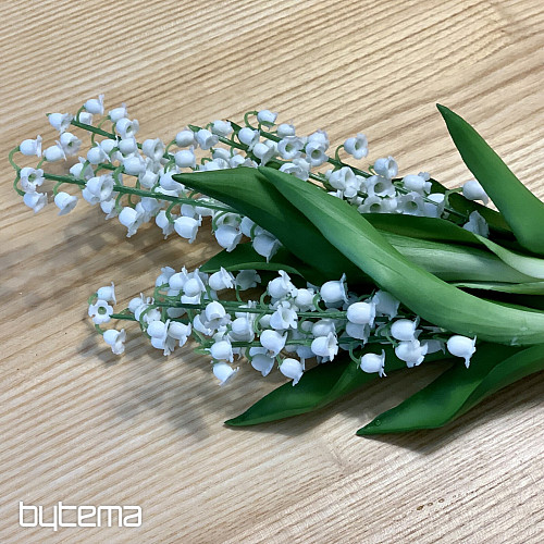 LYS DE LA LONGÉVITÉ