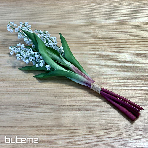 LYS DE LA LONGÉVITÉ