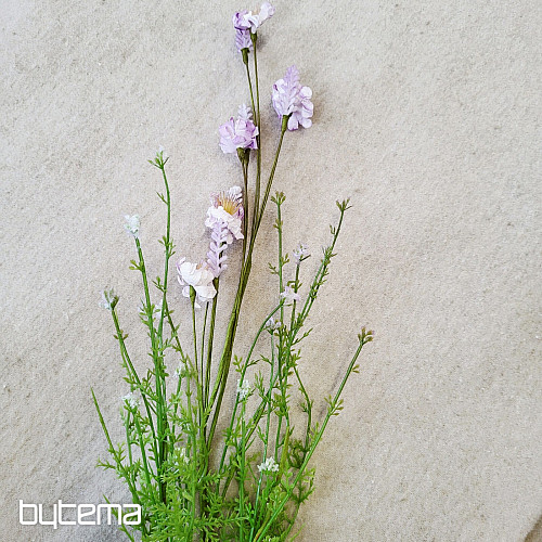 FLEURS DE PRÉ VIOLETTES