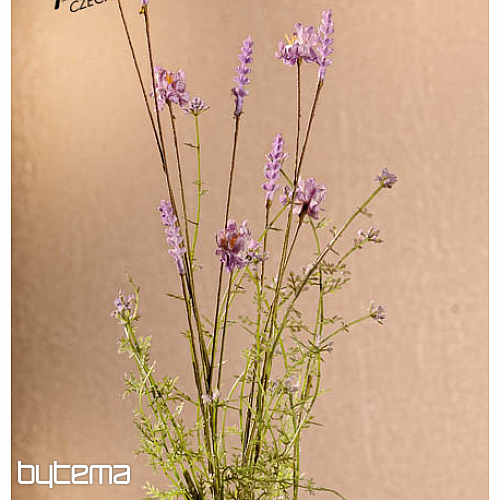 FLEURS DE PRÉ VIOLETTES