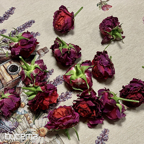 Nappe et foulard en tapisserie BIRDHOUSE