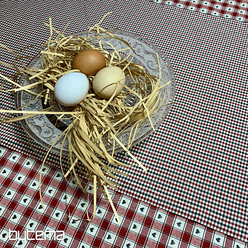 Nappe et foulard MAXI CORET rouge