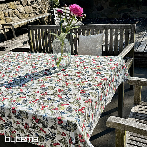 Nappe BAIES