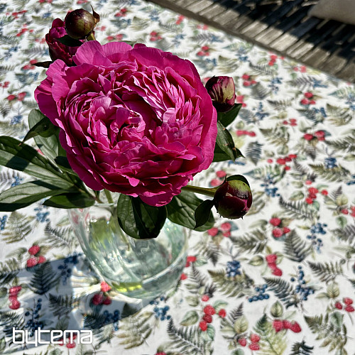 Nappe BAIES