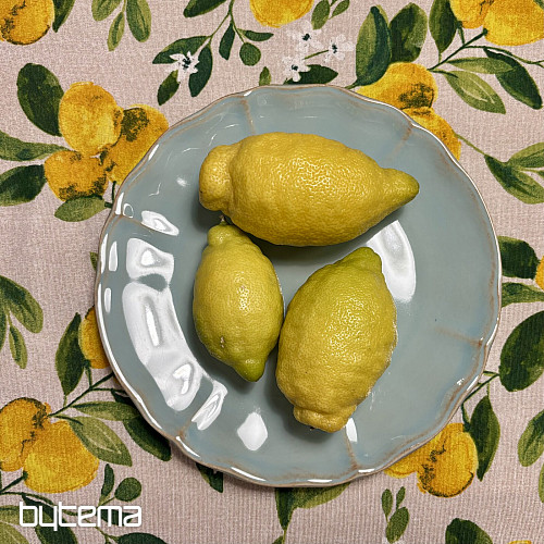 Assiette ALENTEJO 27 cm turquoise