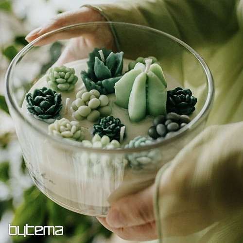 Bougie parfumée aux fleurs et cactus BOTANIKA