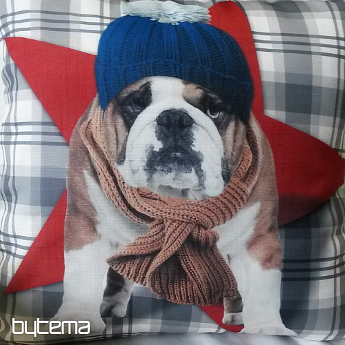 Housse de coussin décorative HARRY LE BOULEDOGUE 2