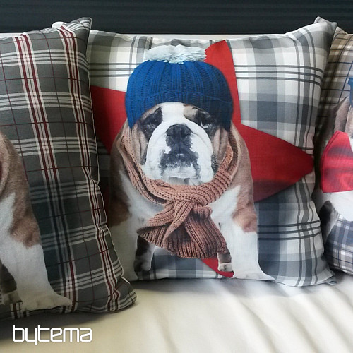 Housse de coussin décorative HARRY LE BOULEDOGUE 2