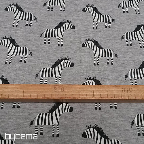 Maille coton imprimé ZEBRA gris