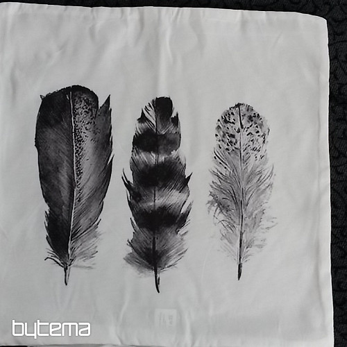Housse de coussin PLUME NOIR