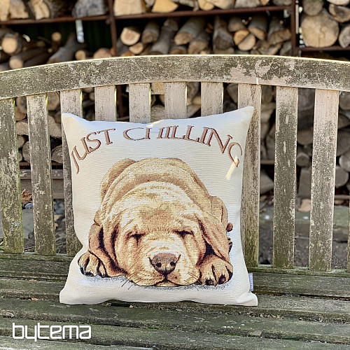 Housse de coussin tapisserie PES JUST CHILLING