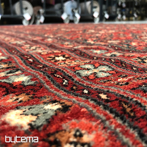 Tapis de luxe en laine KASHQAI 4372/300