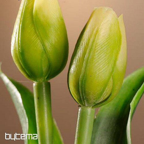 Mélange de couleurs de tulipes