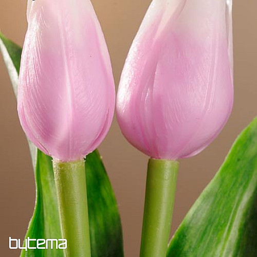 Mélange de couleurs de tulipes