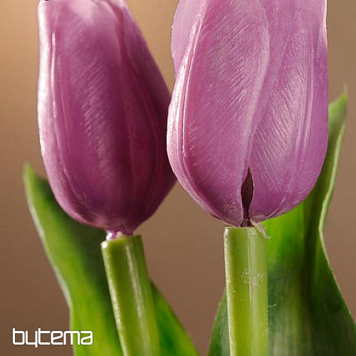 Mélange de couleurs de tulipes