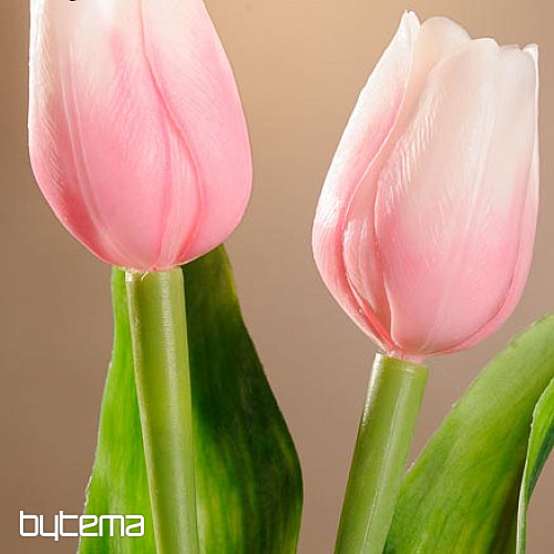 Mélange de couleurs de tulipes