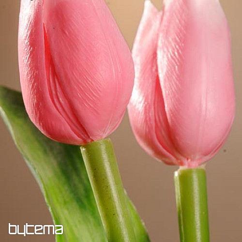 Mélange de couleurs de tulipes