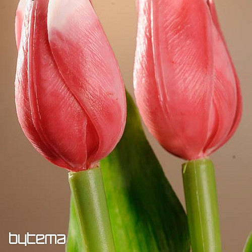 Mélange de couleurs de tulipes