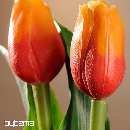 Mélange de couleurs de tulipes