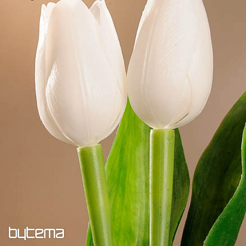 Mélange de couleurs de tulipes