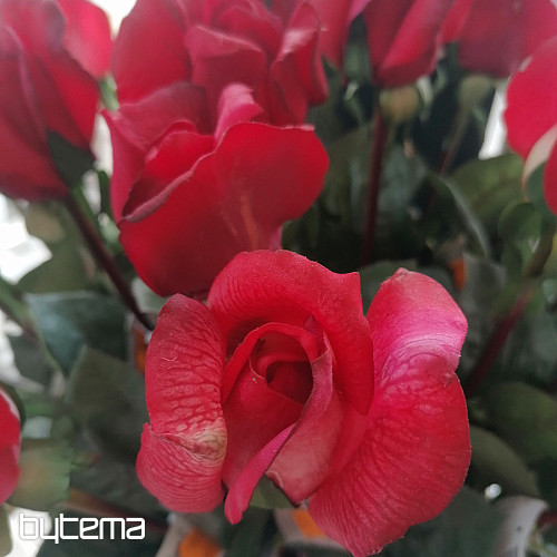 Bouton de rose rouge 70 cm