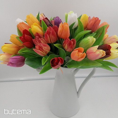 Mélange de couleurs de tulipes
