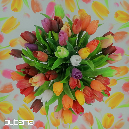 Mélange de couleurs de tulipes